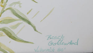 Beach Goldenrod I Watercolor | Charles Blaze Vukovich,{{product.type}}