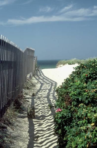 Beach Path Color | Robert Gambee,{{product.type}}