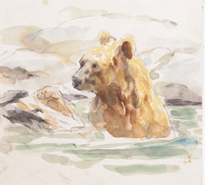 Bear Swimming Watercolor | Marshall Goodman,{{product.type}}