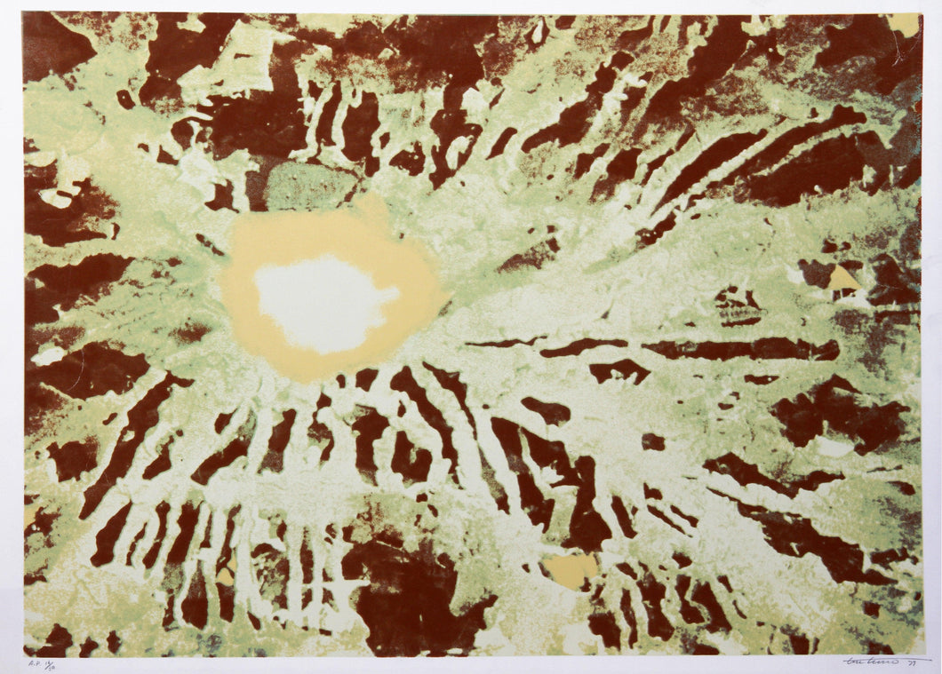 Below the Surface of Venice Screenprint | Domenick Turturro,{{product.type}}