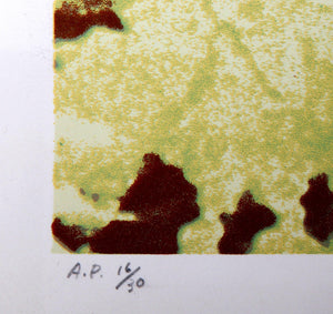 Below the Surface of Venice Screenprint | Domenick Turturro,{{product.type}}