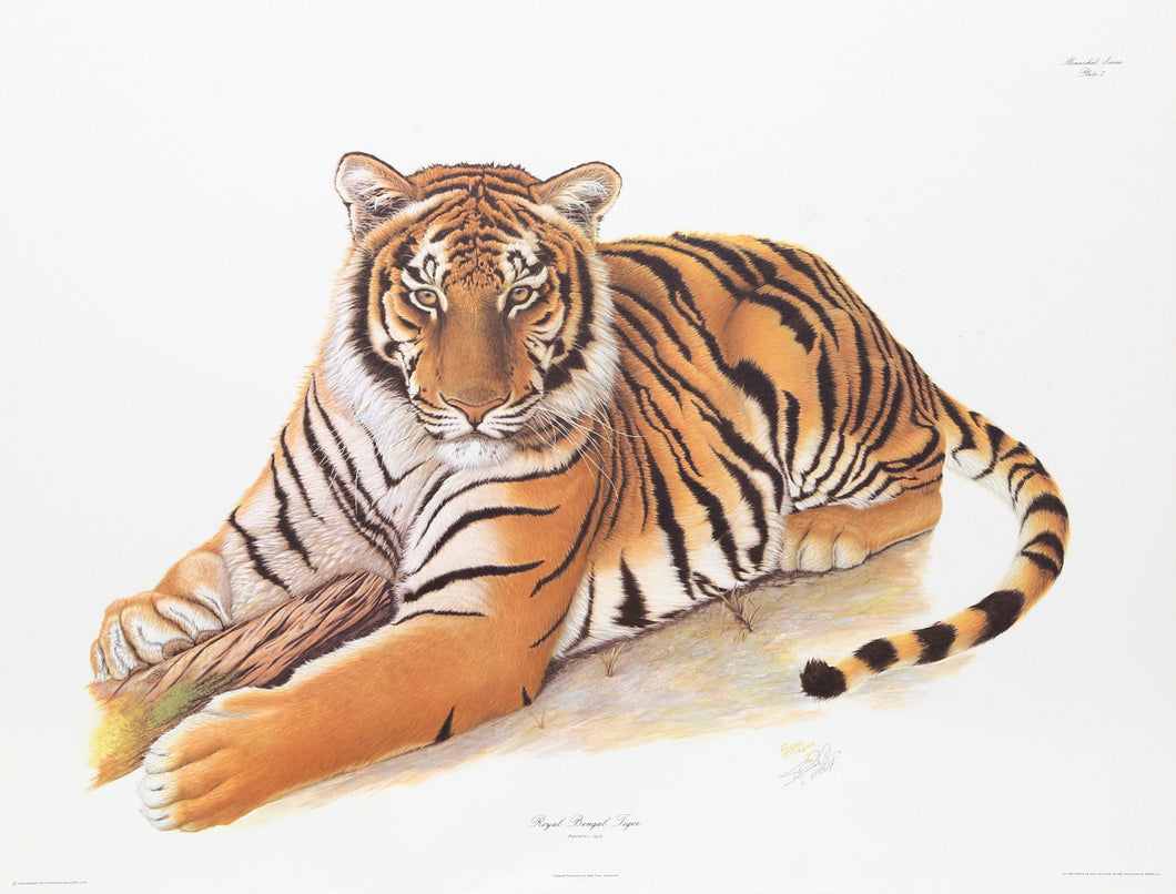 Bengal Tiger Lithograph | Sean Bollar,{{product.type}}