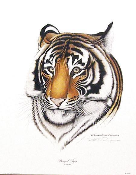 Bengal Tiger Poster | Richard Evans Younger,{{product.type}}