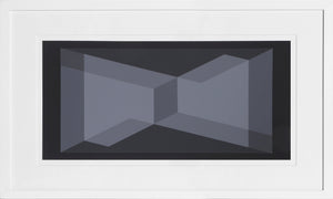 Biconjugate: Vice Versa - P1, F9, I2 Screenprint | Josef Albers,{{product.type}}