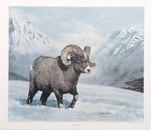 Big Horn Country Lithograph | Charles Fracé,{{product.type}}