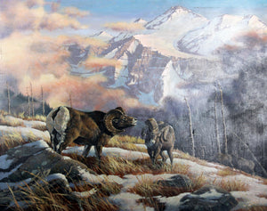 Bighorn Sheep Oil | Marcel Bordei,{{product.type}}