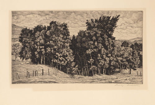 Birch Group Etching | Luigi Lucioni,{{product.type}}