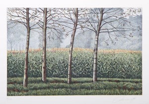 Birches and Corn Field Etching | Oliviero Masi,{{product.type}}