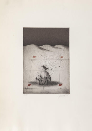 Bird etching | Alois Janak,{{product.type}}