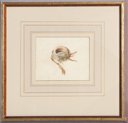 Bird Nest Watercolor | Edward Seager,{{product.type}}