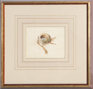 Bird Nest Watercolor | Edward Seager,{{product.type}}