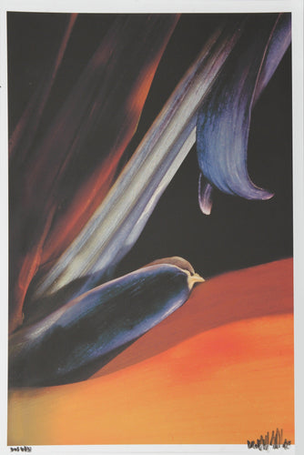 Bird of Paradise Color | Jonathan Singer,{{product.type}}