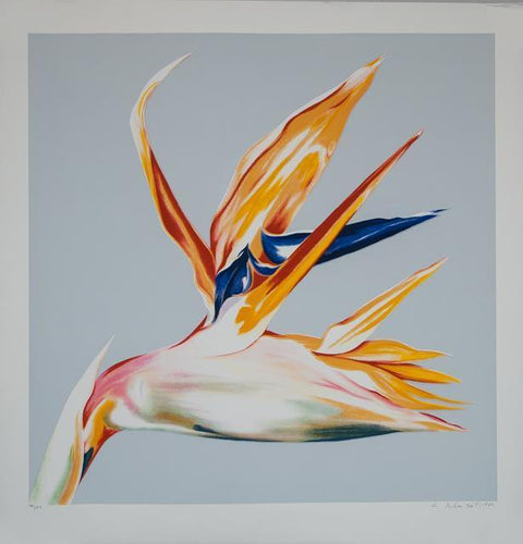 Bird of Paradise Screenprint | Lowell Blair Nesbitt,{{product.type}}