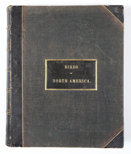 Birds of North America Book | Theodore Jasper,{{product.type}}