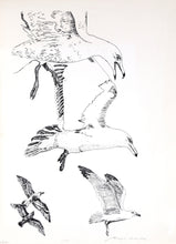 Birds Screenprint | Biagio Civale,{{product.type}}