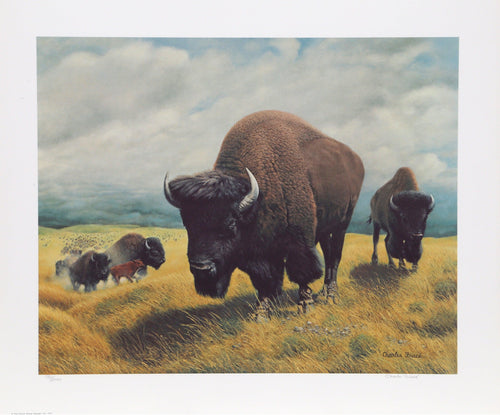 Bison Lithograph | Charles Frace,{{product.type}}