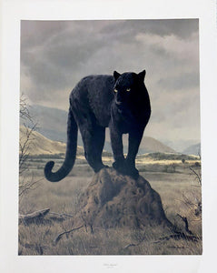 Black Leopard Lithograph | Charles Fracé,{{product.type}}