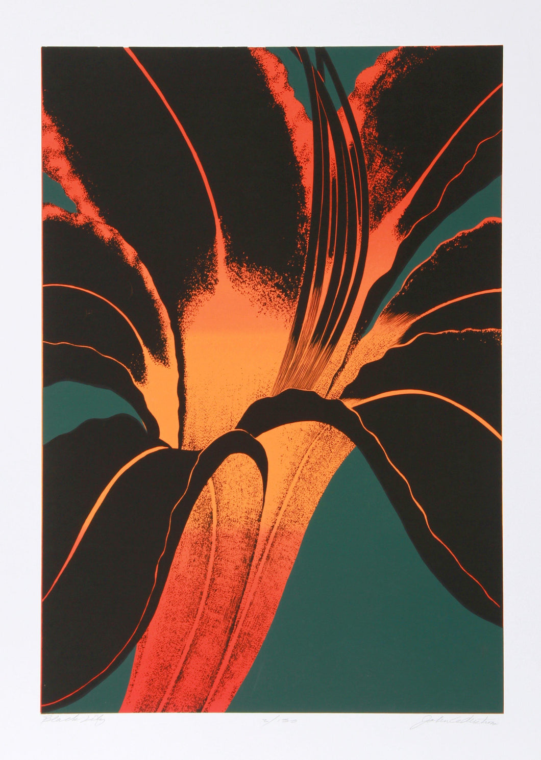 Black Lily Screenprint | John Cederstrom,{{product.type}}