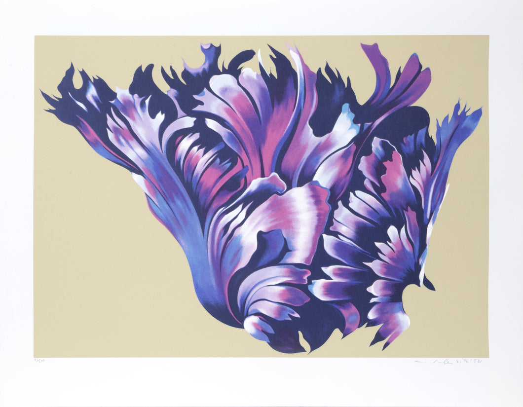 Black Parrot Tulip Screenprint | Lowell Blair Nesbitt,{{product.type}}