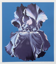 Blue Iris on Blue Screenprint | Lowell Blair Nesbitt,{{product.type}}