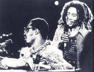 Bob Marley and Stevie Wonder Black and White | Kim Gottlieb-Walker,{{product.type}}
