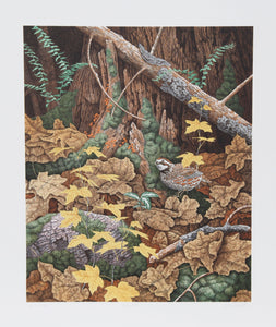 Bob White Quails II Lithograph | Chris Forrest,{{product.type}}