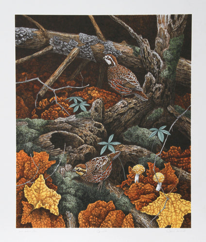 Bob White Quails Lithograph | Chris Forrest,{{product.type}}