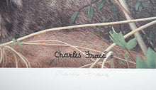 Bobcat Lithograph | Charles Fracé,{{product.type}}