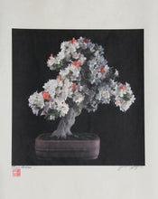 Bonsai #3 Color | Jonathan Singer,{{product.type}}