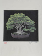 Bonsai #4 Color | Jonathan Singer,{{product.type}}