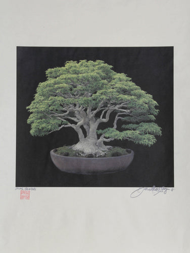 Bonsai #4 Color | Jonathan Singer,{{product.type}}