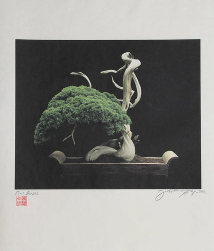 Bonsai #6 Color | Jonathan Singer,{{product.type}}