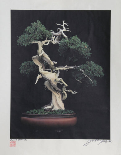 Bonsai Color | Jonathan Singer,{{product.type}}