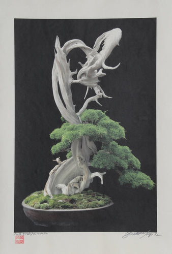 Bonsai R Color | Jonathan Singer,{{product.type}}