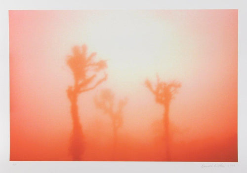 Bright Sun in Desert Digital | Kenneth Wilkes,{{product.type}}