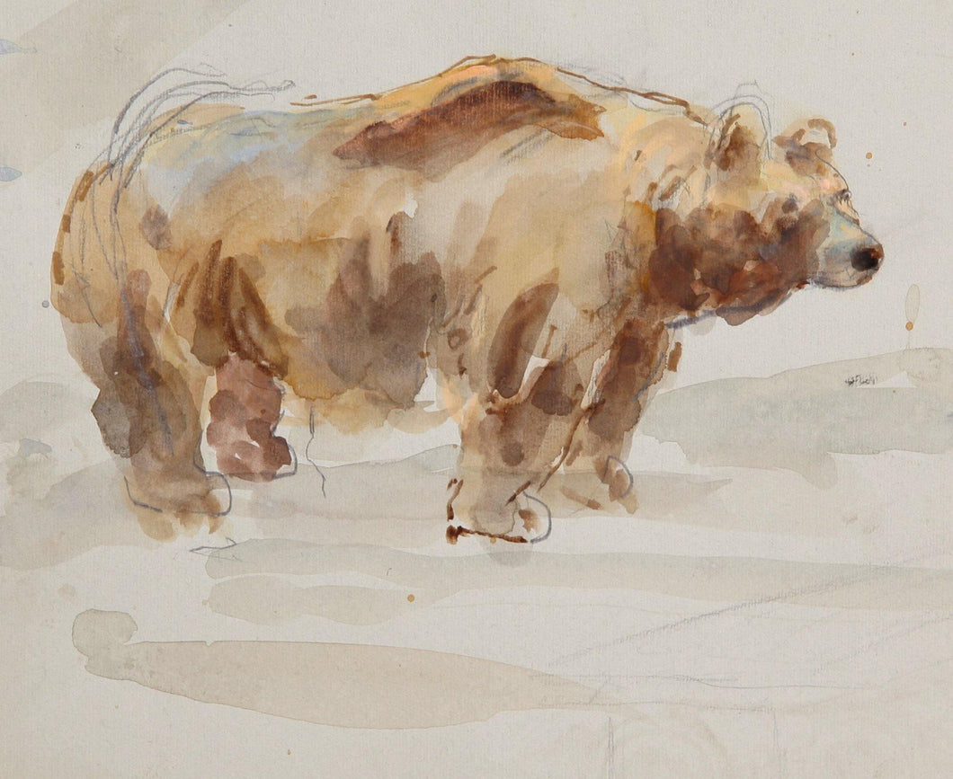 Brown Bear Watercolor | Marshall Goodman,{{product.type}}