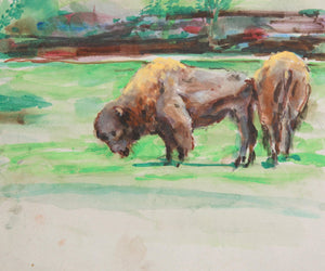 Buffalo Watercolor | Marshall Goodman,{{product.type}}