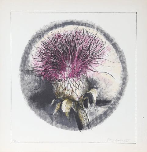 Bullthistle Lithograph | Bruce Martin Scott,{{product.type}}