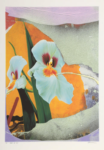 Burst of Joy Digital | Michael Knigin,{{product.type}}