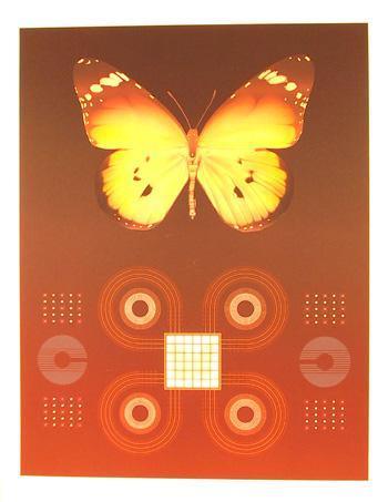 Butterfly Matrix Screenprint | David Haidle,{{product.type}}