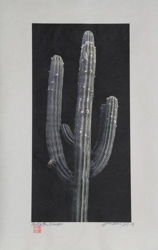 Cactus Black and White | Jonathan Singer,{{product.type}}