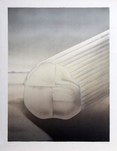 Cactus Log I Lithograph | Alain Le Foll,{{product.type}}