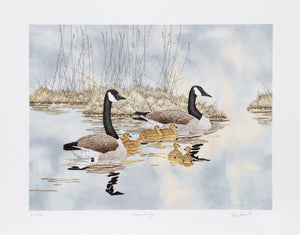Canada Geese Family Lithograph | Chris Forrest,{{product.type}}