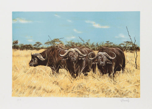 Cape Buffalo Lithograph | Joseph Vance,{{product.type}}