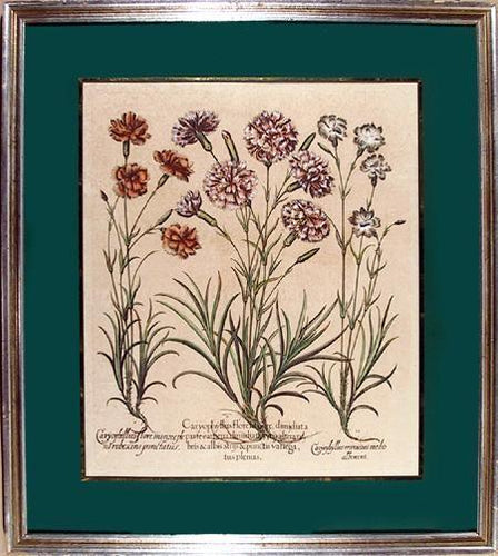 Cariphallus Lithograph | Unknown Artist,{{product.type}}