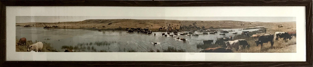 Cattle Drive Color | Ronald Klein,{{product.type}}