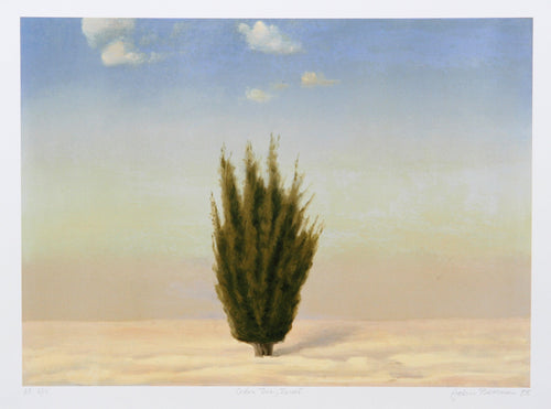 Cedar Tree, Israel Lithograph | John Beerman,{{product.type}}
