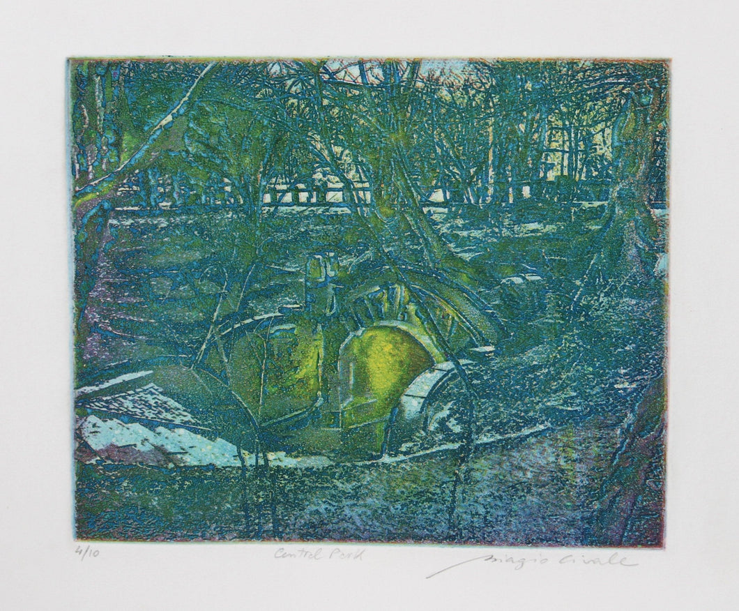Central Park Etching | Biagio Civale,{{product.type}}