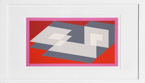 Challenging Confusion - P1, F14, I1 Screenprint | Josef Albers,{{product.type}}