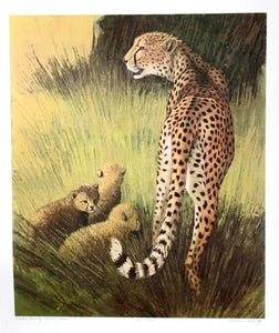 Cheetah Family Masai Mara Lithograph | Caroline Schultz,{{product.type}}